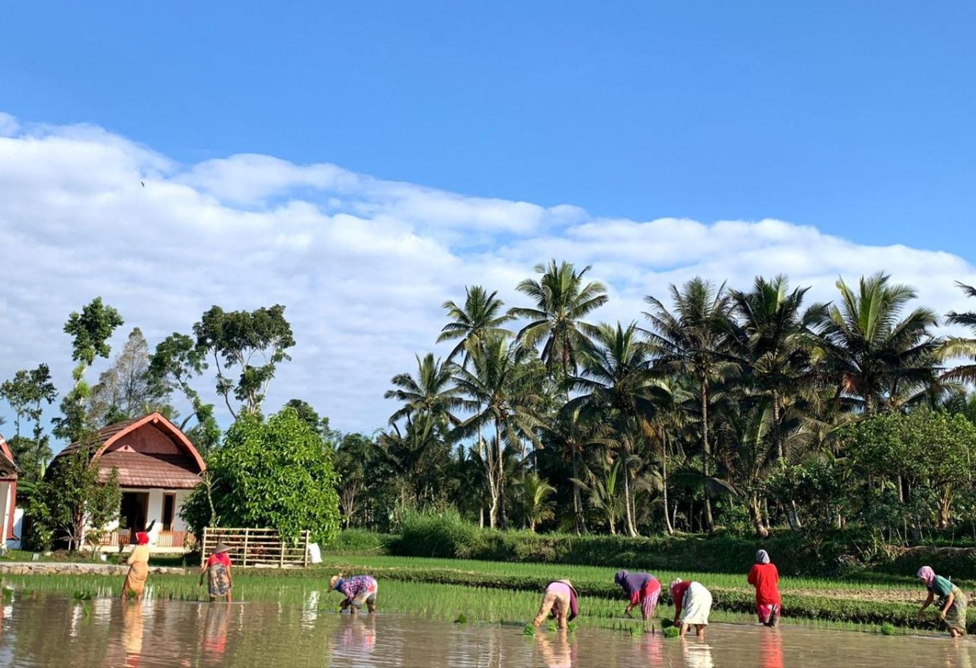 Bale Tetebatu Villa Exterior photo
