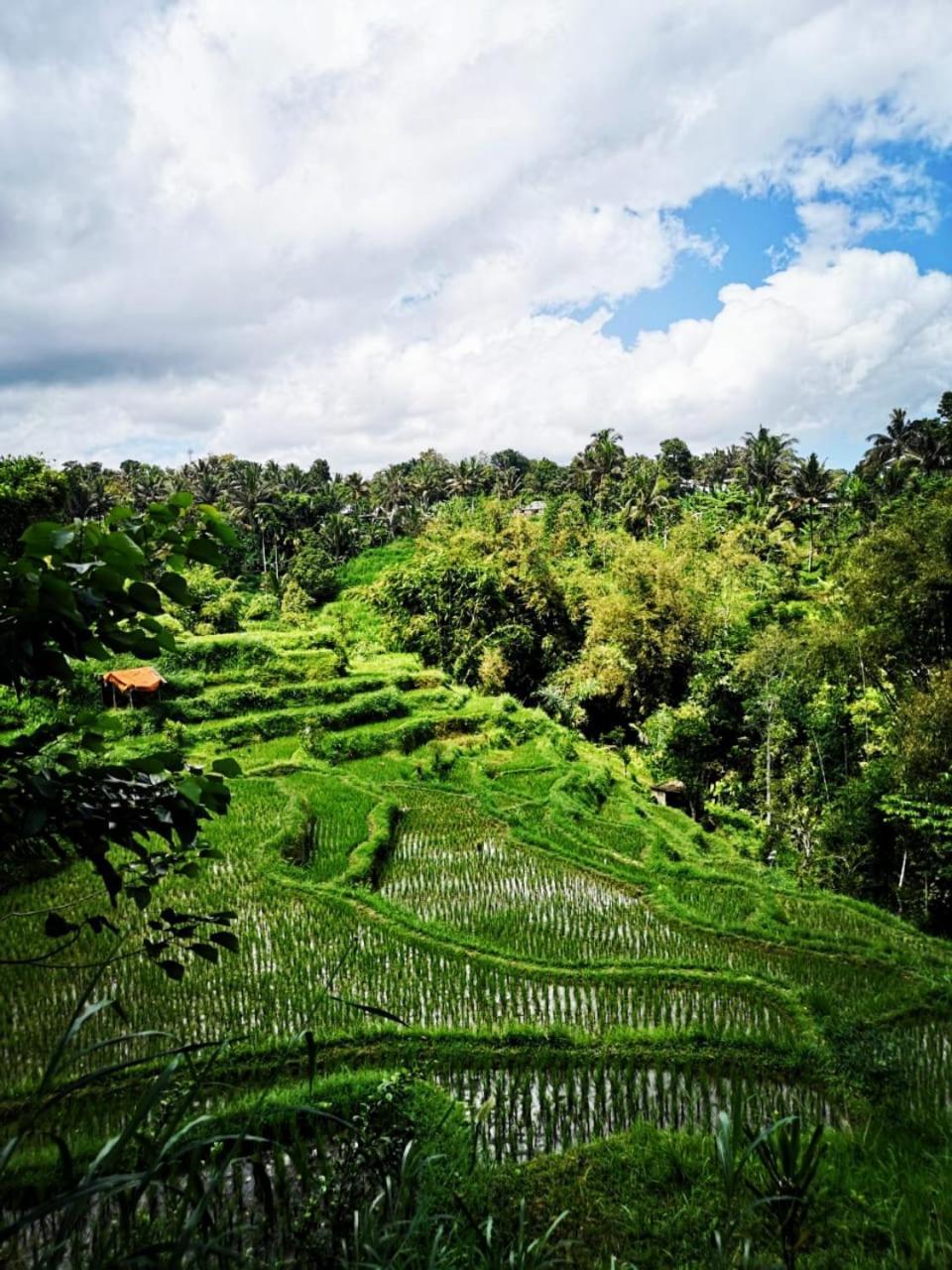 Bale Tetebatu Villa Exterior photo